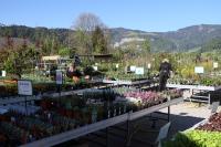 Freiland