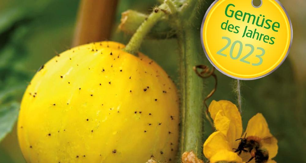 Gemüse des Jahres 2023 - Bella Limonella