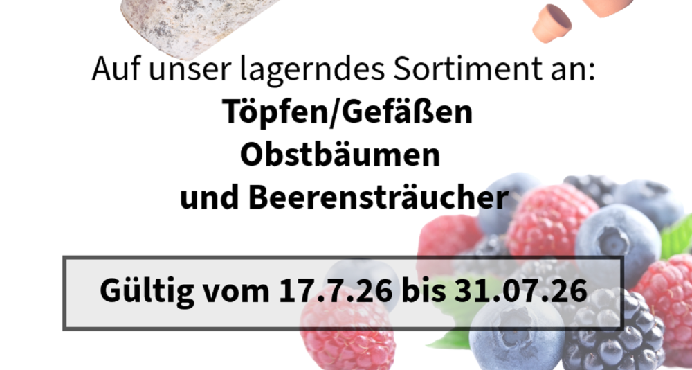 Sommer Aktion