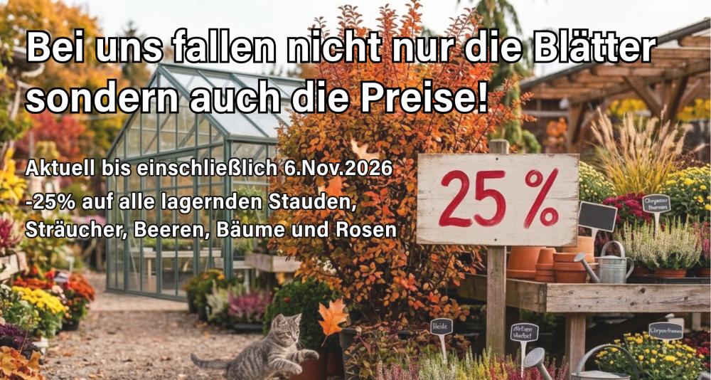 Bei reGREENa fallen die Preise!