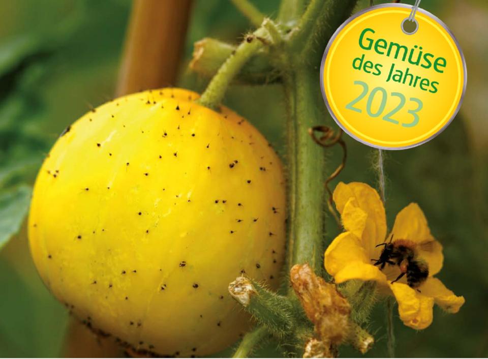 Gemüse des Jahres 2023 - Bella Limonella