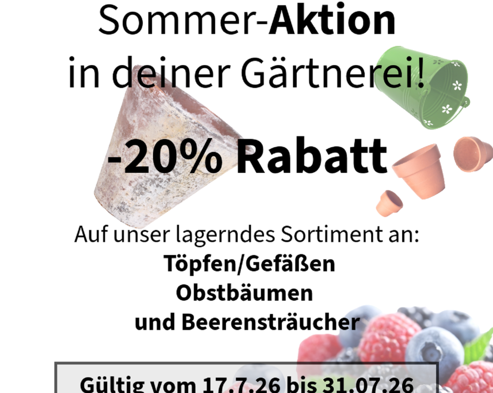 Sommer Aktion