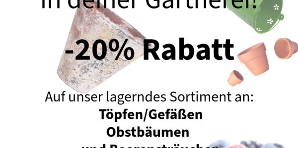 Sommer Aktion